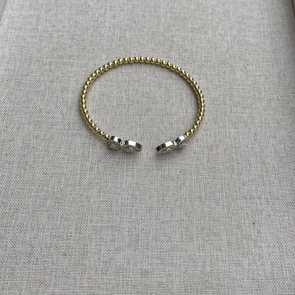 Alina Bangle
