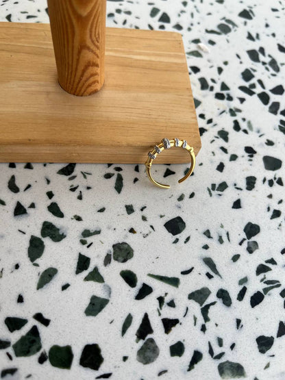Daria Ring